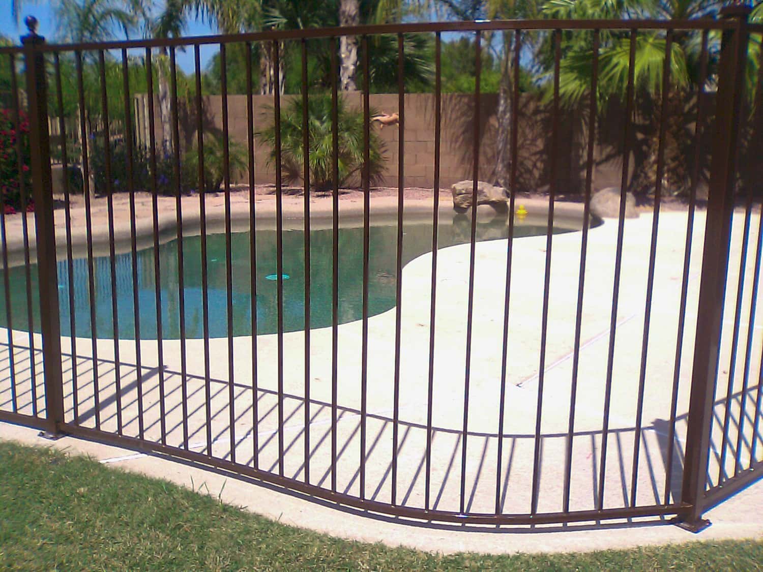 Curved Pool Fencing